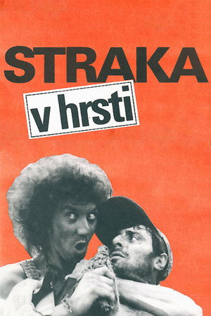 Straka v hrsti Straka v hrsti