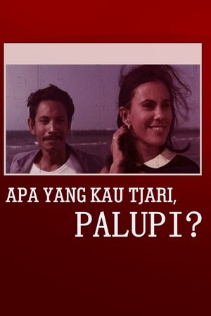 What Are You Looking For, Palupi?