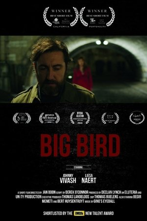 Big Bird