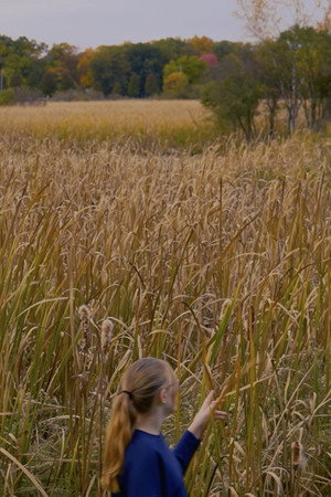 Wheat and Chaff poster