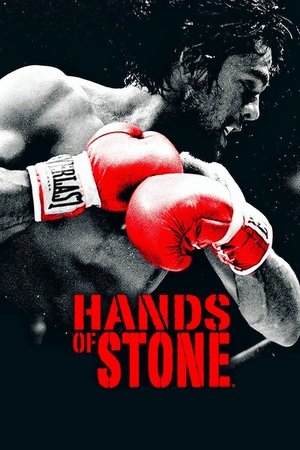 Manos de piedra (2016)