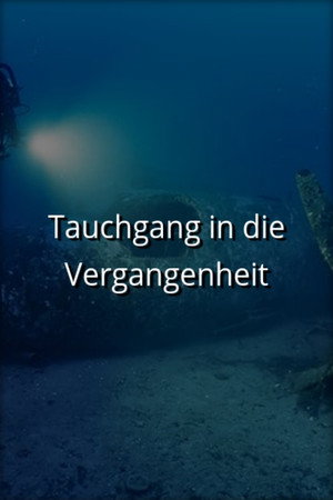Shipwrecks: When History Resurfaces