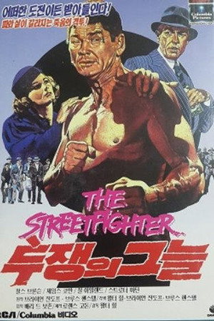 투쟁의 그늘