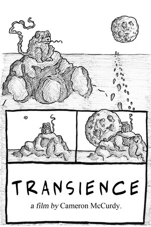 Transience