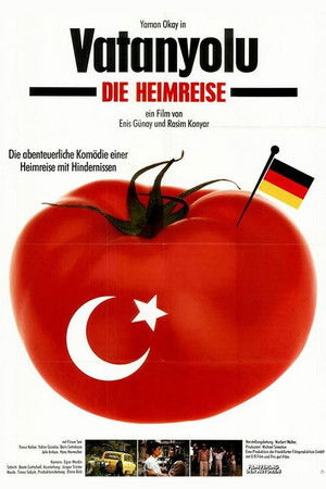 Vatanyolu – Die Heimreise