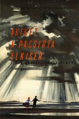Akiket a pacsirta elkísér