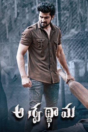 Aswathama (2020) Hindi Dubbed