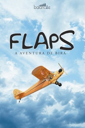 Flaps