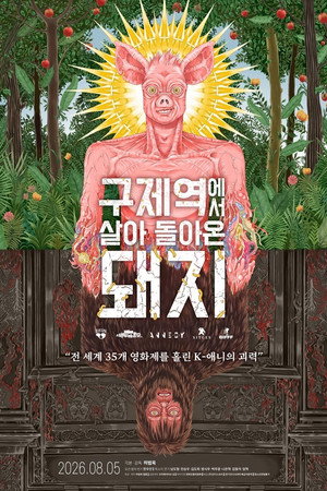 구제역에서 살아 돌아온 돼지