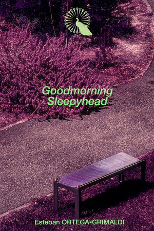 Goodmorning Sleepyhead