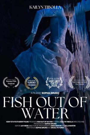Fish Out of Water poster