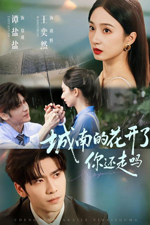 城南的花开了，你还走吗