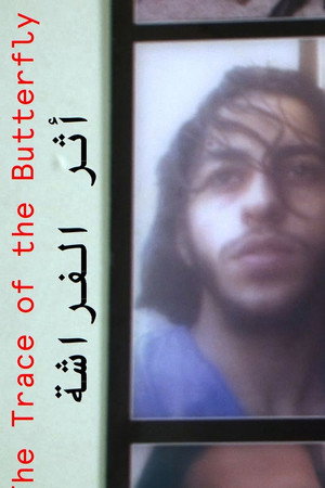 The Trace of the Butterfly poster