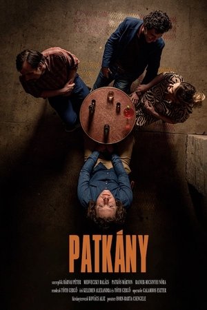 Patkány