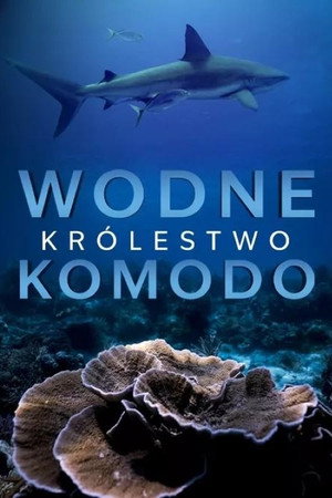 Wodne królestwo Komodo