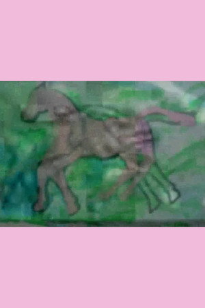 Pink Horses, Blue Oceans poster