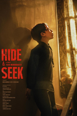 Hide & Seek poster