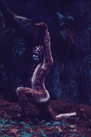 Snake Dance Teacher Dance poster