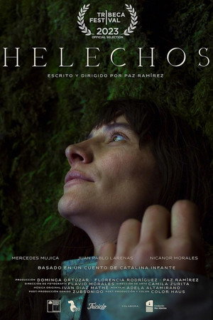 Ferns poster