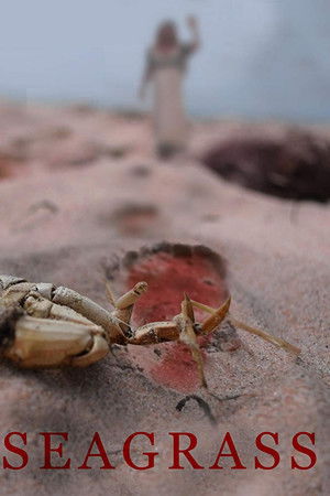 Kvkarx4dqnlbzse0lt2waxklx7c