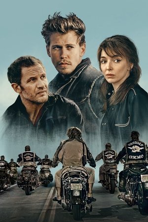 Bikeriders. La ley del asfalto