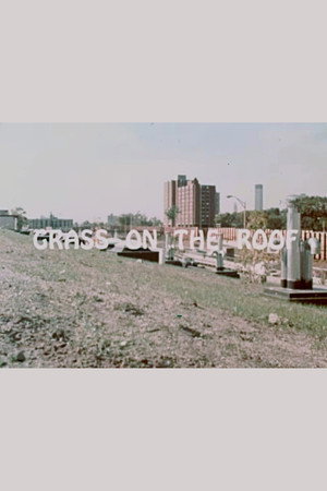 Grass on the Roof poster