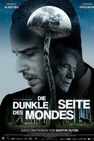 Die dunkle Seite des Mondes