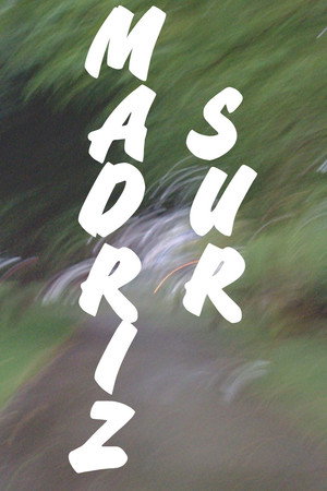 MADRIZ SUR poster