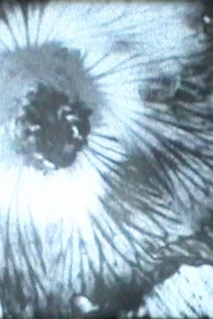 Solarization poster