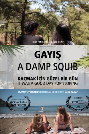 A Damp Squib poster