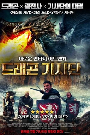 드래곤 기사단