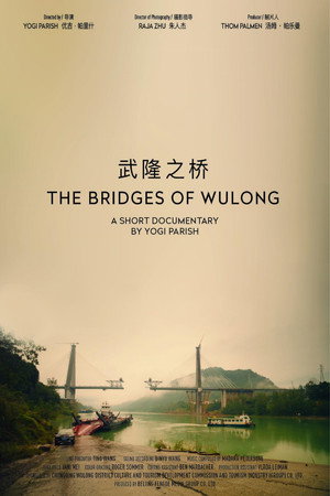 The Bridges Of Wulong poster