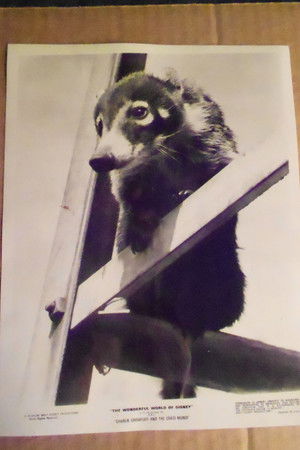 Charlie Crowfoot and the Coati Mundi