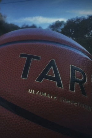 A sensical film about a basketball