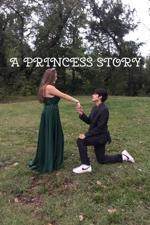 A Princess Story
