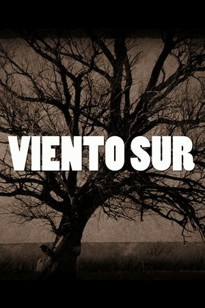 Viento Sur