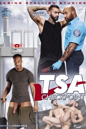 TSA Checkpoint