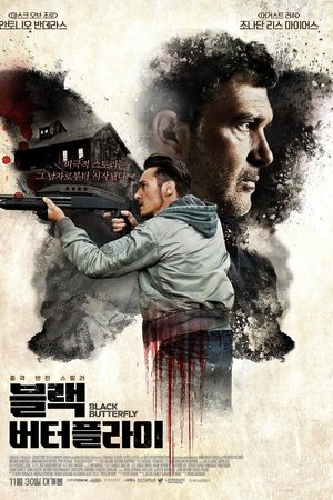 블랙 버터플라이