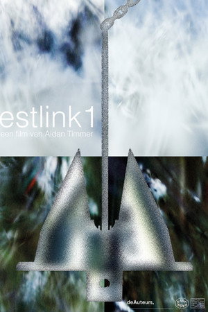 Estlink1 poster
