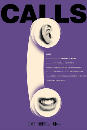 Calls poster