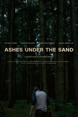 Ashes Under the Sand