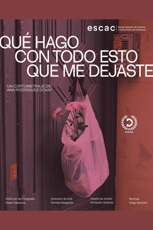 Qué hago con todo esto que me dejaste poster