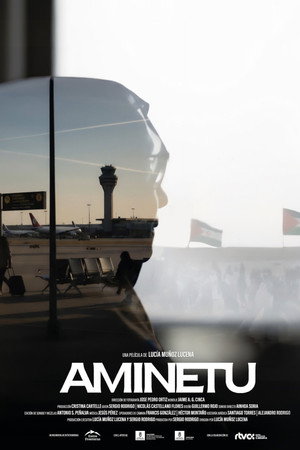 AMINETU AMINETU