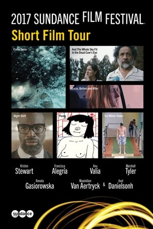 2017 Sundance Film Festival Short Film Tour Movie Overview