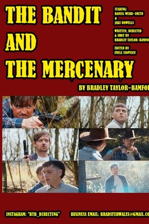 The Bandit and The Mercenary