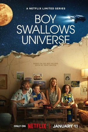 Voir Le Garçon et l'Univers en streaming