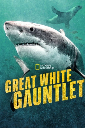 Great White Gauntlet Great White Gauntlet