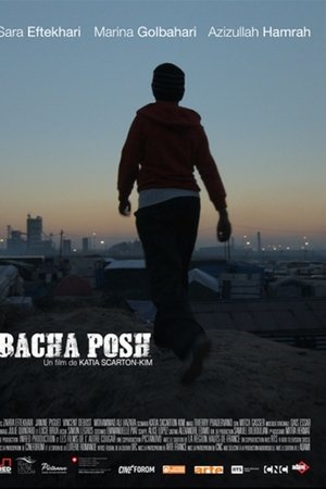 Bacha Posh