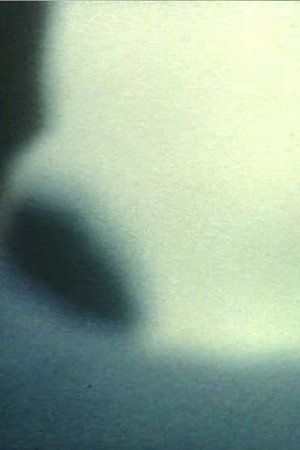 Feeling of Night poster