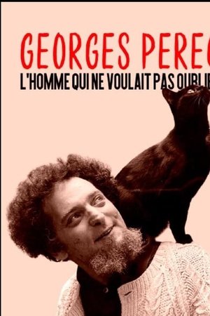 Georges Perec, l'homme qui ne voulait pas oublier